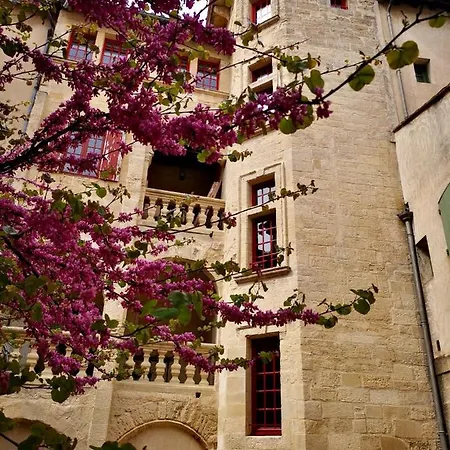 Appartement A 50 M De La Place Aux Herbes Uzes Exterior photo