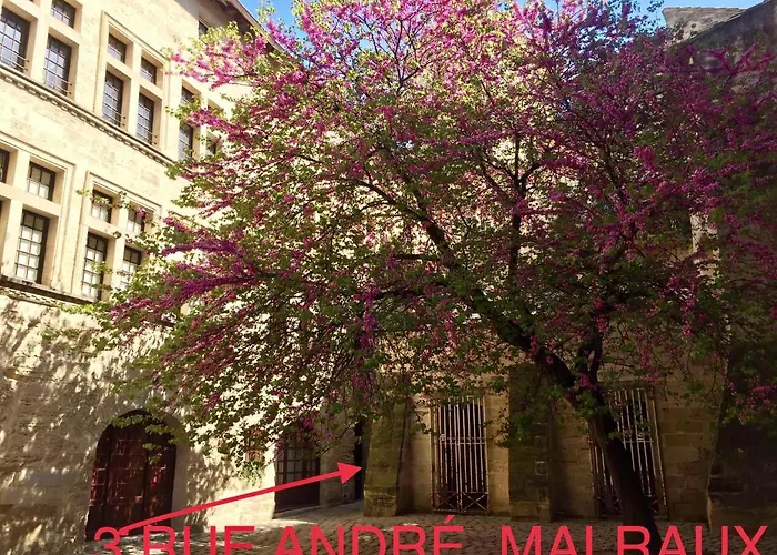Appartement A 50 M De La Place Aux Herbes